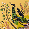 meg-hunt-peacock-unframed-print
