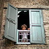 mike-matas-morocco-girl