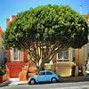 mike-matas-blue-beetle