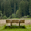 mike-matas-redwoods-bench