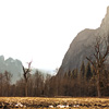 Yosemite Valley