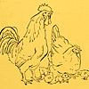 minnie-rose-chickens