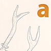 nik-bresnick-a-is-for-antlers-print