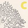 nik-bresnick-c-is-for-coral-print