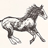 nik-bresnick-h-is-for-horse-print