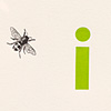nik-bresnick-i-is-for-insects-print