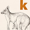 nik-bresnick-k-is-for-kangaroos-print