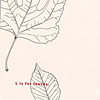 nik-bresnick-l-is-for-leaves-print