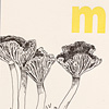 nik-bresnick-m-is-for-mushrooms-print