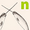 nik-bresnick-n-is-for-narwhals-print