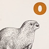 nik-bresnick-o-is-for-otter-print