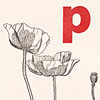 nik-bresnick-p-is-for-poppies-print