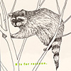 nik-bresnick-r-is-for-raccoon-print