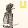 nik-bresnick-u-is-for-umbrella-print