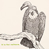 nik-bresnick-v-is-for-vulture-print