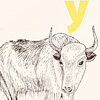 nik-bresnick-y-is-for-yak-print