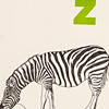 nik-bresnick-z-is-for-zebra-print