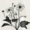 nikki-original-japanese-anenome