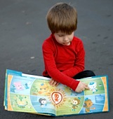 Picture