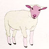of-lamb
