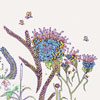 otsu_lavendarflowers