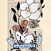 papermilk-pc37-another-day