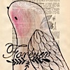 papermilk-pc39-forever