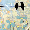 rachel-austin-birds-blue-pinwheels-print