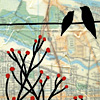 rachel-austin-birds-red-buds-print
