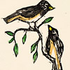 red-bat-oregon-junco-hello-card