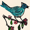 red-bat-stellers-jay-good-luck-card