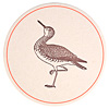 sesame-sandpiper