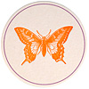 sesame-orange-butterfly