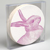 sesame_big_rabbit
