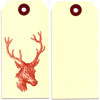 sesame_buck_gt
