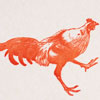 sesame_rooster