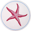 sesame_starfishbox