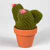 shannon-gerard-cactus-medium-multi-prong