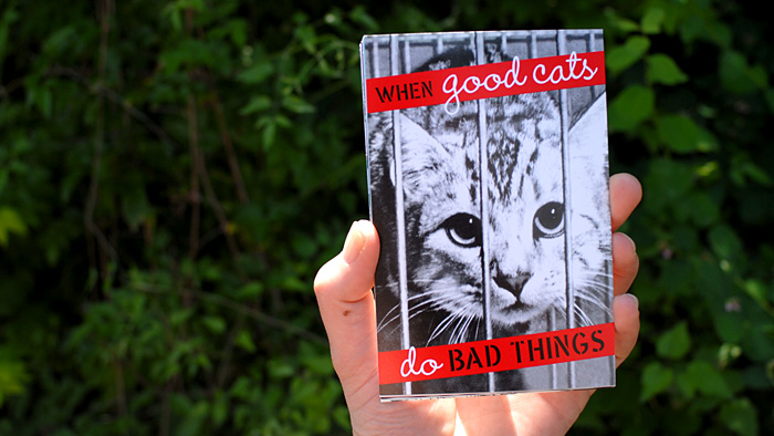 Stella Marrs Postcard
