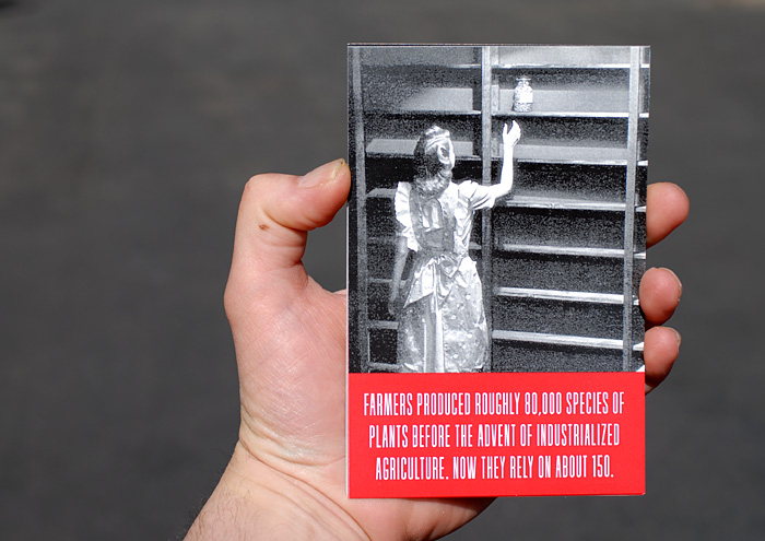 Stella Marrs Postcard