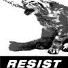 stella-144-resist