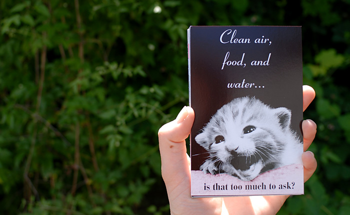Stella Marrs Postcard