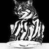 stella-63-keep-your-fork