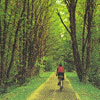 stumptown-banks-trail-card
