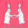 swas-pink-shirt