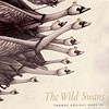the-wild-swans-box