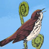 Thrush (Blue)