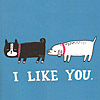 tinymeat-gemma-i-like-you