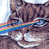 tinymeat-laser-cat