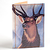 tinymeat-majestic-deer-passport